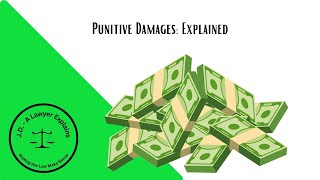 Punitive Damages  Explained [upl. by Enelrae]