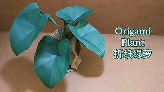 Origami Elephant Ear Plants Big Green Leaves 折纸绿萝 [upl. by Dorreg918]