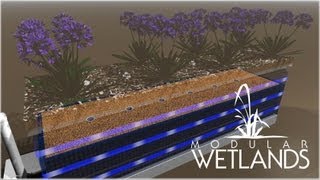 Modular Wetland System Linear 20 [upl. by Kaufman]