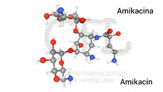 AMIKACINA ►► ⚛️ Estructura química interactiva 🧑🏻‍🔬 [upl. by Ym]