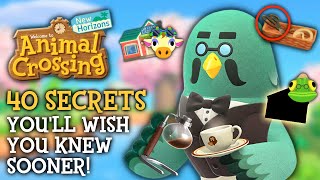 40 SECRETS Youll WISH You Knew Sooner  Animal Crossing New Horizons [upl. by Iover]