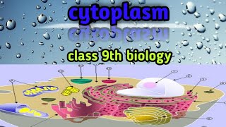 cytoplasm structure function and composition class 9th biology [upl. by Eneleahcim763]