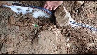 Anti Termites treatment by ReticulationPiping system [upl. by Skutchan705]