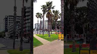 Geelong Beach shortsvediosbeachnaturevic [upl. by Ogu]