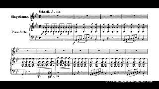 Erlkönig  Original Key  Piano Accompaniment [upl. by Sidoney]