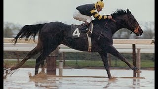 Seattle Slew  Full Documentary [upl. by Rodmun]