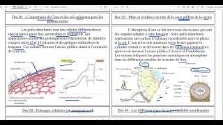 71Absorption de leau et des solutés par les racines [upl. by Sillig697]