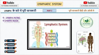 Lymphatic system lecture 2  Anatomy and physiology  lymph intro  lymph node  biology [upl. by Enifesoj281]