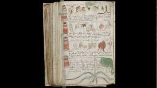 Voynich manuscript All pages scanned undeciphered language [upl. by Sivart]