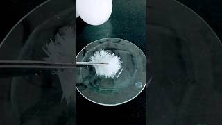 Sodium Acetate Freeze The Water [upl. by Aicrop]