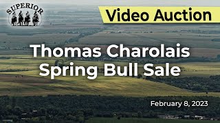 Thomas Charolais Spring Bull Sale [upl. by Maise]