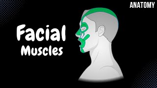 Muscles of Facial Expression Parts Origin Insertion Function [upl. by Ezeerb]