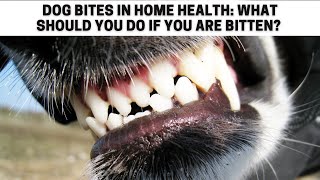 Dog Bites In Home Health What Should You Do If You Are Bitten [upl. by Lemal250]