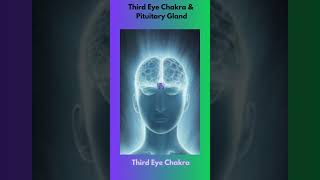 Third Eye Chakra and Pituitary Gland shorts thirdeye pituitarygland [upl. by Ahsak922]