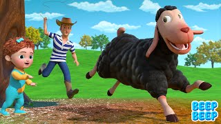 Baa Baa Black Sheep  Sheep Song  Beep Beep Kids Songs amp Nursery Rhymes [upl. by Gaw520]