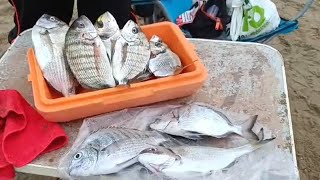 FISHING EN AYAMONTE con sorpresa 🦀 [upl. by Yr421]