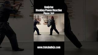 Kenjutsu PowerReactionBlocking Drill Phase 3amp4 samurai shogun [upl. by Olinde]