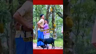 ছাগল চুরি করে কোরবানির হাটে বিক্রি😱shorts drama [upl. by Eibot]